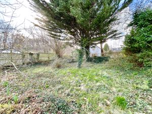 Photo 19- click for photo gallery